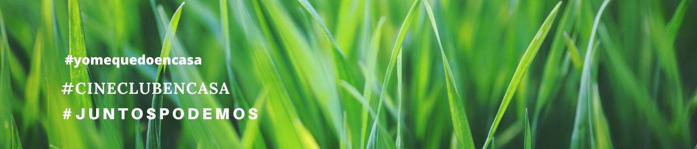 primavera cuarentena